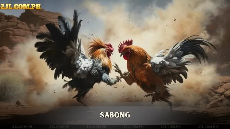 2JL Casino - Sabong